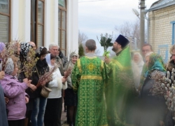 Камышане поставят дома освященные веточки вербы как символ грядущего воскресения Камышане поставят дома освященные веточки вербы как символ грядущего воскресения