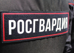 Закоренелая 29-летняя неплательщица алиментов бросилась наутек от росгвардейцев в Камышине Закоренелая 29-летняя неплательщица алиментов бросилась наутек от росгвардейцев в Камышине