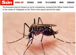 Британский таблоид The Sun сообщил о кровожадных москитах, обитающих в волгоградской гостинице, - "Блокнот Волгограда" Британский таблоид The Sun сообщил о кровожадных москитах, обитающих в волгоградской гостинице, - "Блокнот Волгограда"