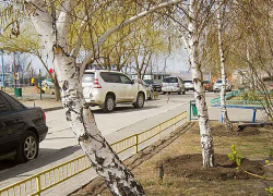 В Камышине пример в уборке еще до общегородского субботника показывают товарищества собственников жилья, но... В Камышине пример в уборке еще до общегородского субботника показывают товарищества собственников жилья, но...