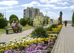 В Камышине распустились южные тропические юкки и розы - этот бал цветов стоит увидеть! В Камышине распустились южные тропические юкки и розы - этот бал цветов стоит увидеть!