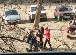 Камышан волнует, на чем доехать до Волгограда, почему подростки во дворах, заморозят ли платежи за капремонт и... где взять "поводок" для прогулок хомяку Камышан волнует, на чем доехать до Волгограда, почему подростки во дворах, заморозят ли платежи за капремонт и... где взять "поводок" для прогулок хомяку