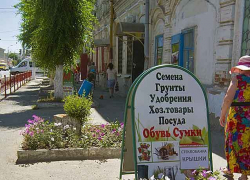 "Ноу-хау" Камышина: украшать центральные улицы пнями и сорняками "Ноу-хау" Камышина: украшать центральные улицы пнями и сорняками