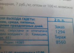 Администрация Камышина рекламирует собственные СМИ на сайте мэрии и световом экране у вокзала, но аудитория ресурсов в рост не идет Администрация Камышина рекламирует собственные СМИ на сайте мэрии и световом экране у вокзала, но аудитория ресурсов в рост не идет
