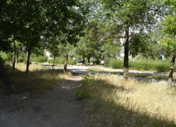 Главный архитектор Камышина Дмитрий Вайрих гарантирует горожанам 500-метровую Аллею Любви на месте забытой Богом улицы Терешковой Главный архитектор Камышина Дмитрий Вайрих гарантирует горожанам 500-метровую Аллею Любви на месте забытой Богом улицы Терешковой