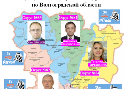 Какие известные камышанам политики пойдут одномандатниками в Госдуму от движения "За Наш Регион" Какие известные камышанам политики пойдут одномандатниками в Госдуму от движения "За Наш Регион"