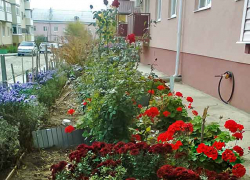Наступившие выходные в Камышине будут теплыми, с "брызгами" дождя - перед похолоданием Наступившие выходные в Камышине будут теплыми, с "брызгами" дождя - перед похолоданием