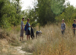 В лесопитомнике города Камышина активисты собрали 50 пакетов мусора В лесопитомнике города Камышина активисты собрали 50 пакетов мусора