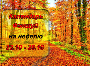 Вторник открыт для новых дел, а пятница грозит конфликтами: календарь-фэншуй для Камышан Вторник открыт для новых дел, а пятница грозит конфликтами: календарь-фэншуй для Камышан