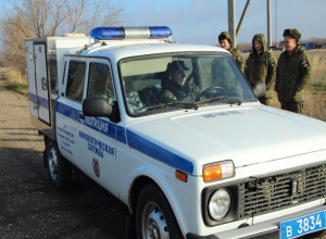 Под Камышином проходит поисковая операция пропавшего год назад студента Антона Рыбальченко Под Камышином проходит поисковая операция пропавшего год назад студента Антона Рыбальченко