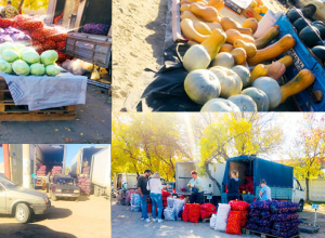 Пора запасаться к зиме: Камышине на рынке скупают все Пора запасаться к зиме: Камышине на рынке скупают все