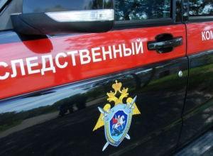 В Волгограде возбуждено уголовное дело по факту обнаружения останков человека В Волгограде возбуждено уголовное дело по факту обнаружения останков человека