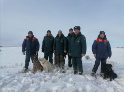 Сотрудники Главного управления МЧС России по Волгоградской области участвуют в поисковой операции в Камышинском районе, несмотря на субботний снегопад