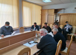 В Камышинской городской думе прошли "партизанские" депутатские слушания