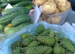 На рынках Камышина предлагают шишки по 100 рублей за килограмм - от всех болезней