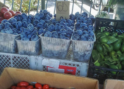 Ценники на помидоры и яйца активно пошли в рост в Волгоградской области