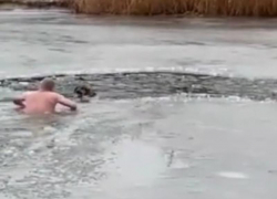 Трогательное спасение собаки "моржом"-волгоградцем в ледяном пруду покорило сеть (ВИДЕО)