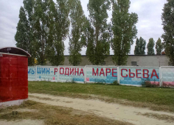 Работникам благоустройства пора скосить бурьян у бетонной стены с надписью "Камышин - родина Маресьева", - камышанка