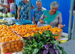 Волгоградский фермер объяснил, почему Волгоградская область сдала позицию по производству плодово-ягодных культур и овощей Дагестану 