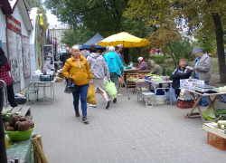 Почти половина избирателей Волгоградской области пришла голосовать в первые два дня выборов