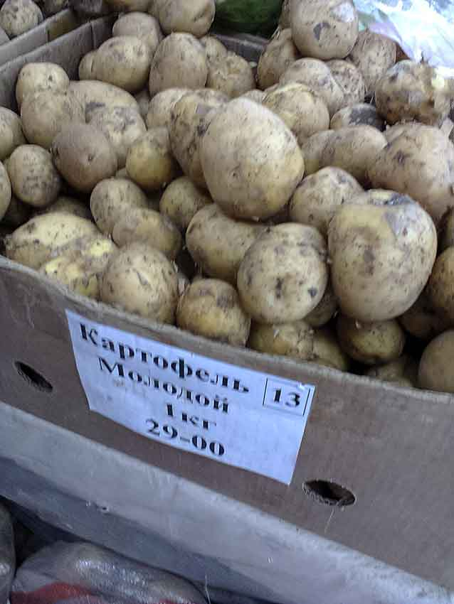 Килограмм картошки стоит 40 рублей. Картофель молодой. Килограмм картошки. Картофель новый урожай. Картофель молодой Азербайджан.