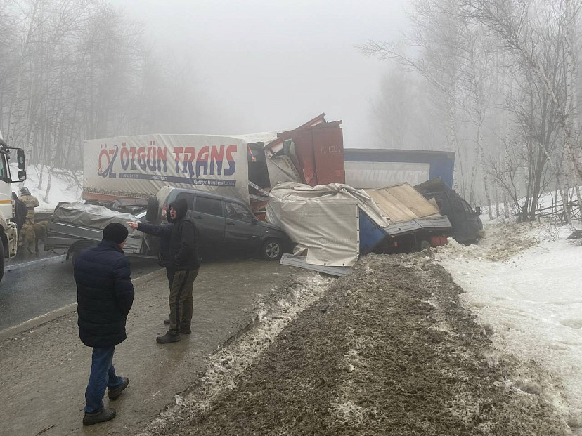 не знал что она транс видео | Дзен