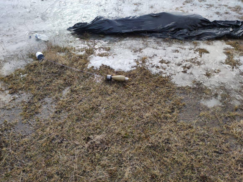 Явка избирателей на выборы в государственную думу. Выборы признаются состоявшимися если в них приняло участие. Средняя явка на выборах в россии. Явка на выборах президента россии в 2018 году. Какой процент явки на выборах считается состоявшимся.