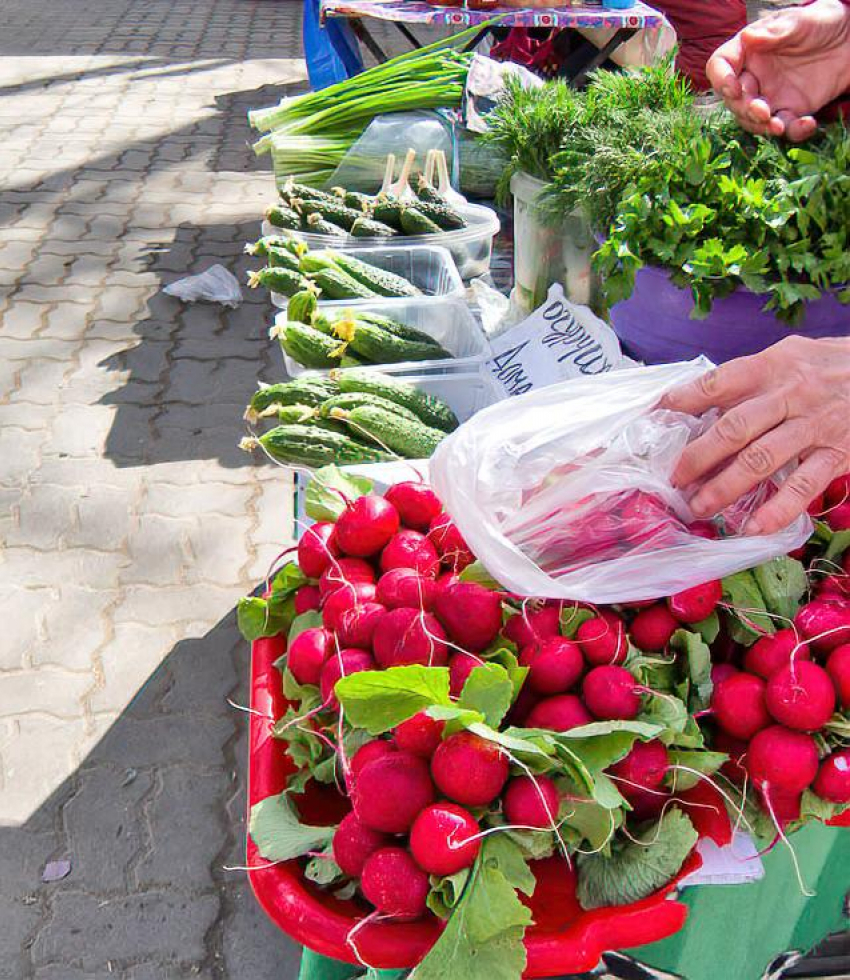 В Камышине с приходом настоящей весны подешевел пучок редиски | 02.04.2024  | Камышин - БезФормата