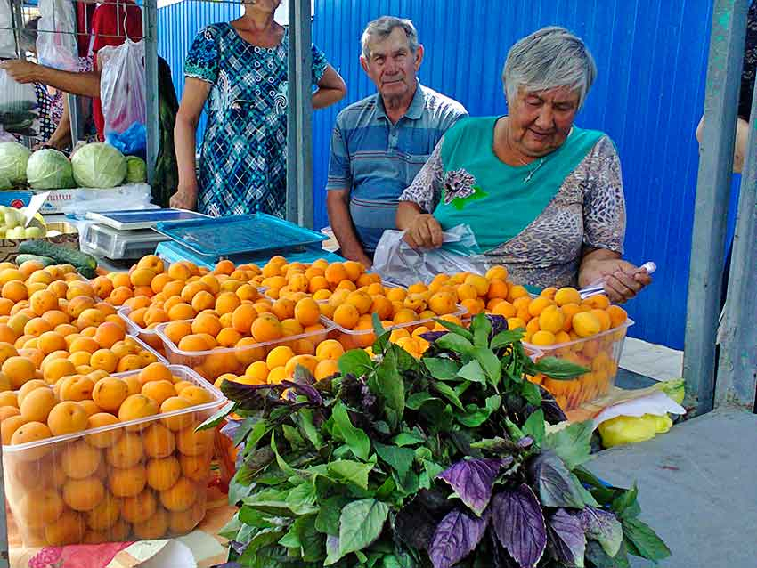 Волгоградский фермер объяснил, почему Волгоградская область сдала позицию по производству плодово-ягодных культур и овощей Дагестану
