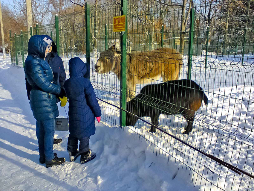 Часы камышин