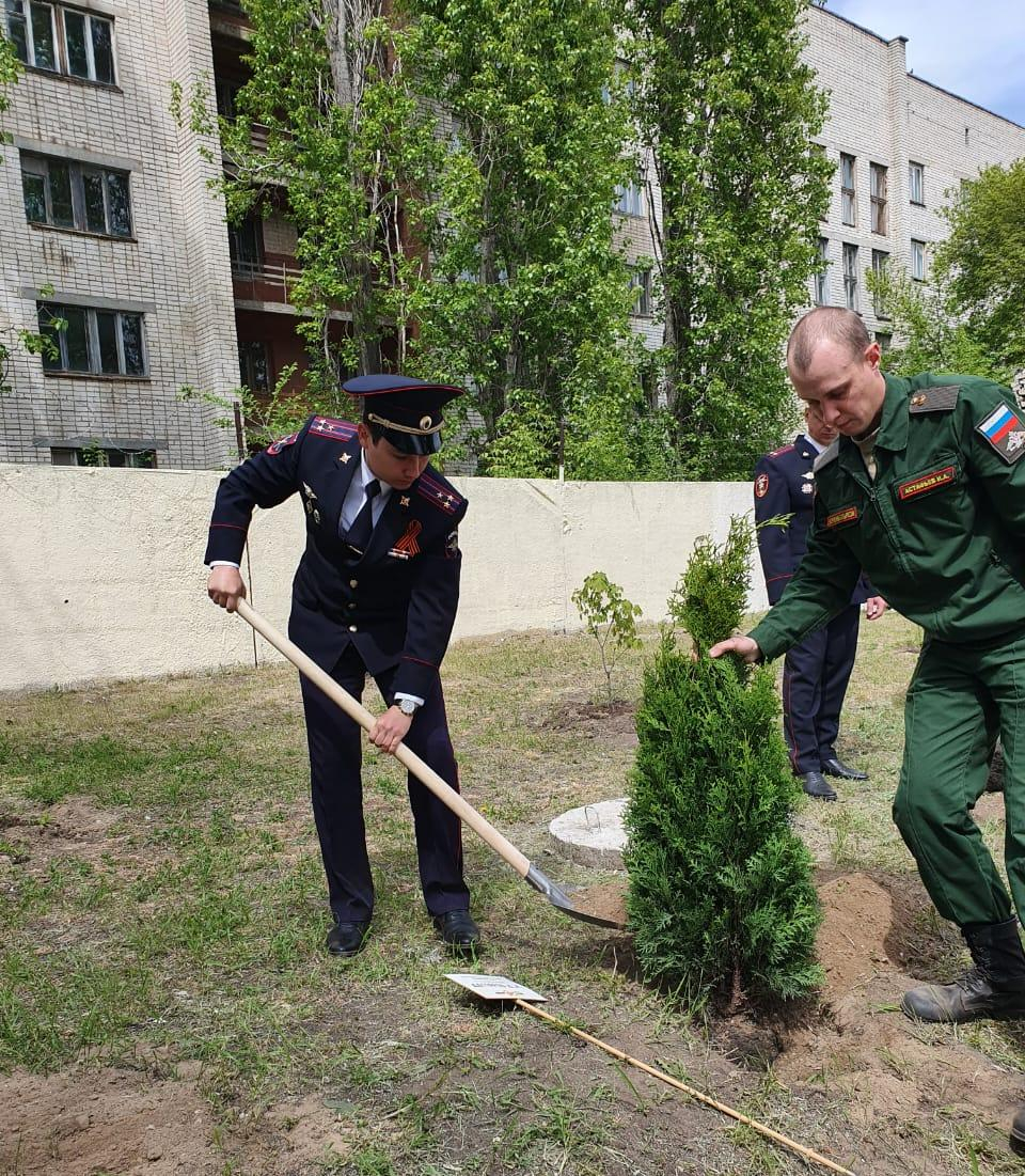 В Камышине 9 мая силовики заложили новый сквер и высадили в нем именные деревья в память о погибших фронтовиках
